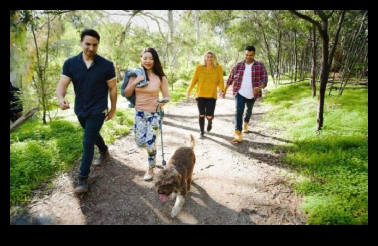 Pastaiga parkā: āra piedzīvojumu izpēte kopā ar suni