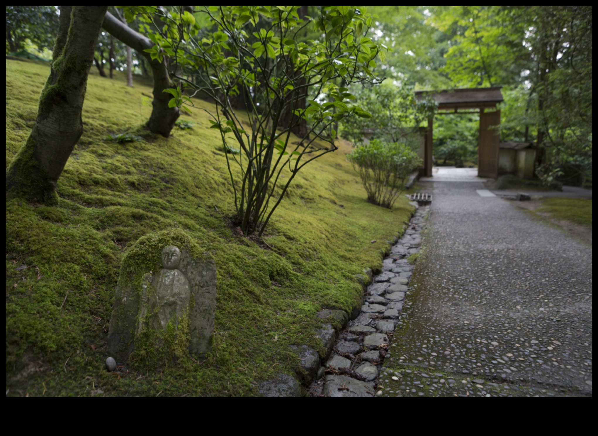 Sūnu tilti un dzena takas: japāņu dārza burvība