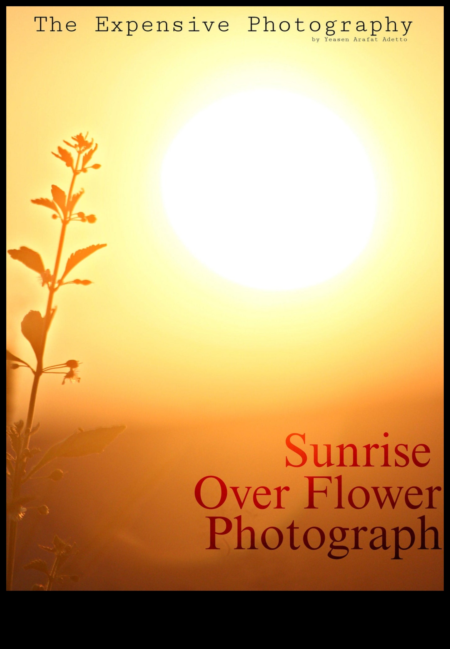 Saullēkta mierīgums: agrās rīta fotografēšanas metožu apgūšana