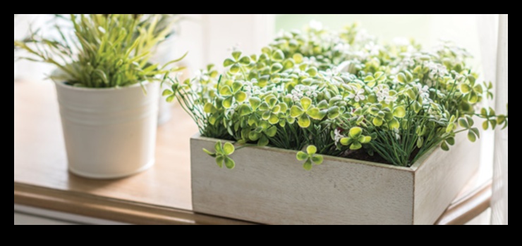 Iesaistieties ārā: svarīgi padomi iekštelpu dārzkopībai