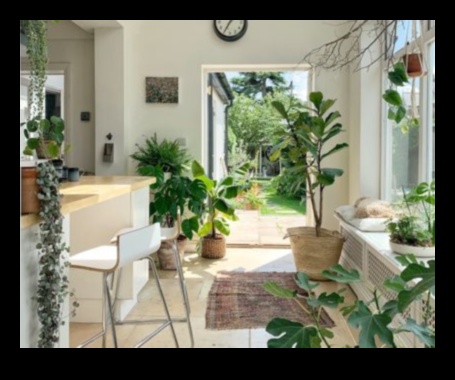 Iesaistieties ārā: svarīgi padomi iekštelpu dārzkopībai