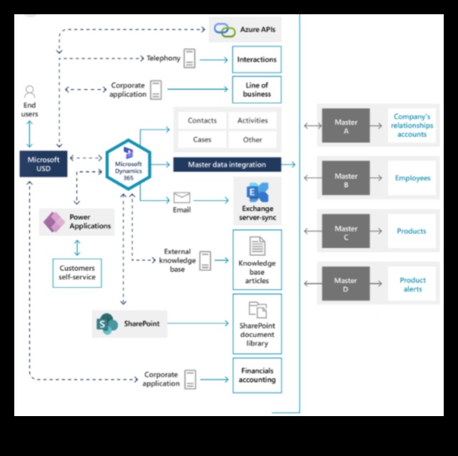 Analytics arhitekts: sociālo mediju meistarības pamatu veidošana