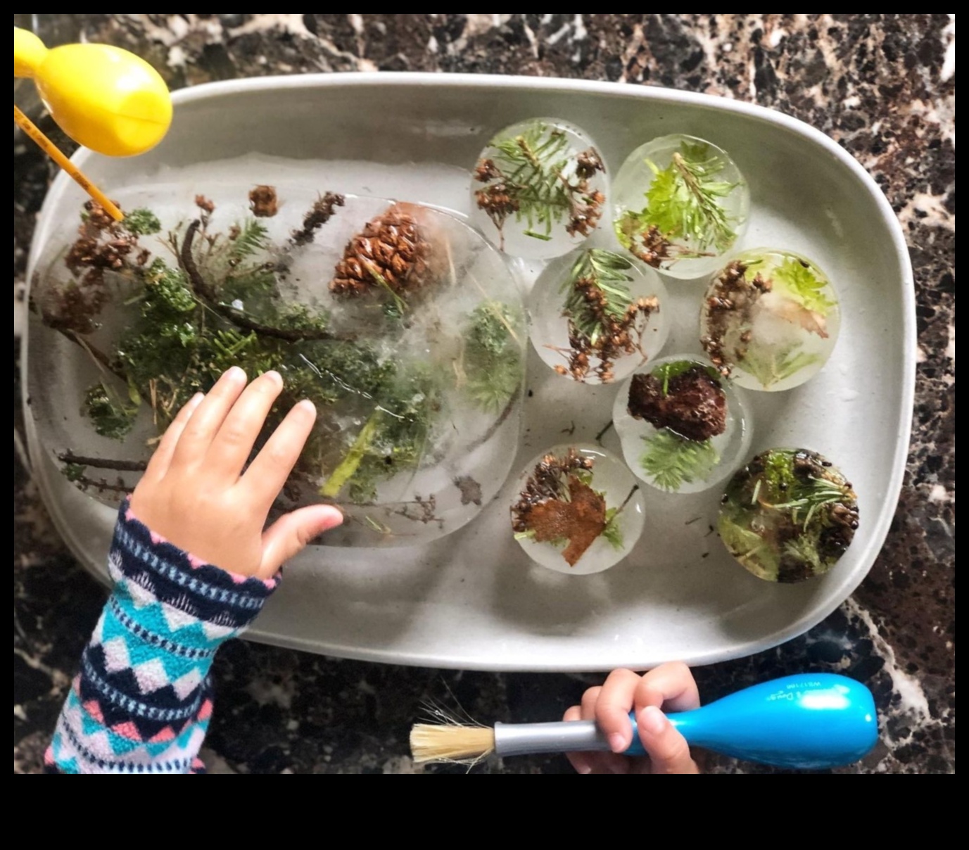 Dabas iedvesmota rotaļa: dodieties ārā saviem mājdzīvniekiem