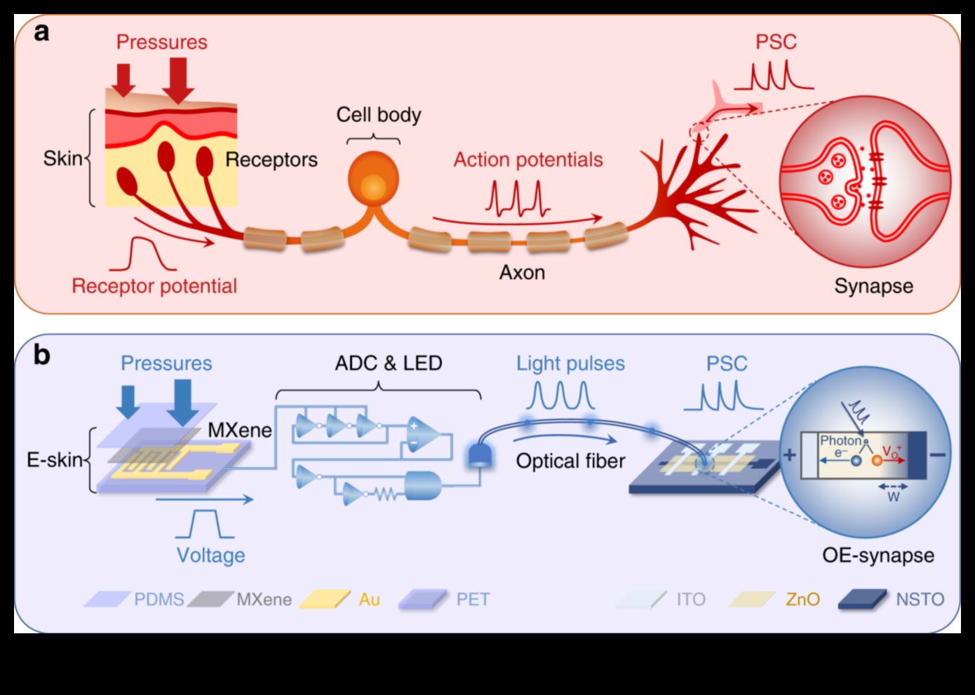 Sensorie insulti, taustes elementu pievienošana zīmējumiem 3 Sensorie insulti: taustes elementu pievienošana zīmējumiem