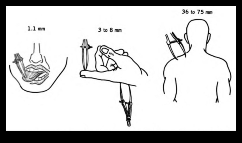 Sensorie triepieni Taktilo elementu pievienošana zīmējumiem 2 Sensorie insulti: taustes elementu pievienošana zīmējumiem