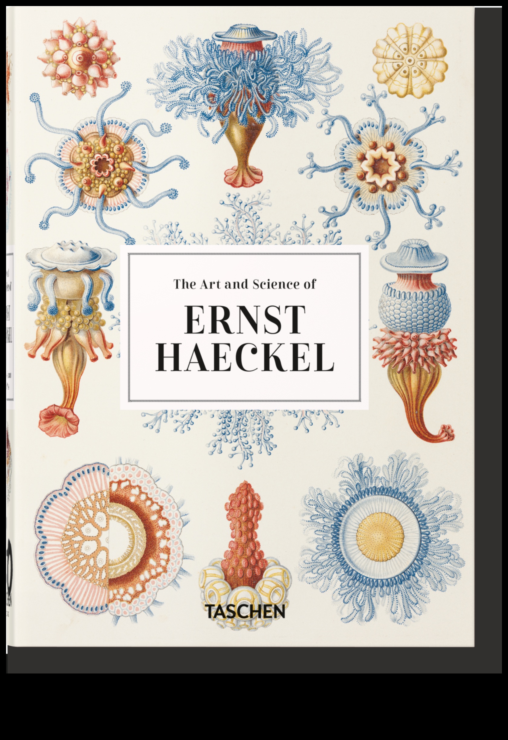 Precizitātes skaistums: zinātniskās un tehniskās mākslas radīšana