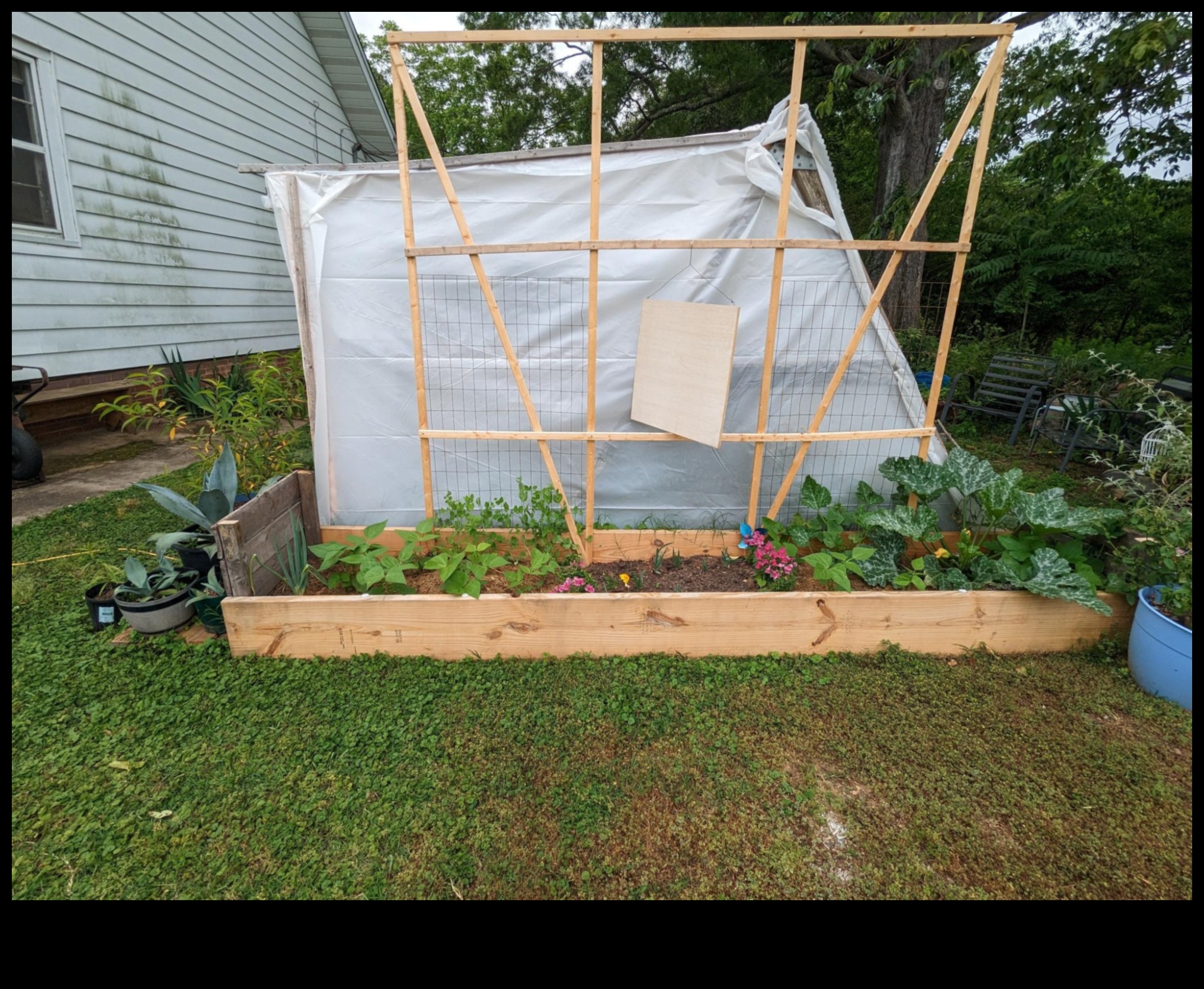 Mikrodārzi, Makro prieks Pilsētas dārzkopības prieki 4 Mikrodārzi, Makro Joy: Urban Gardening Marvels