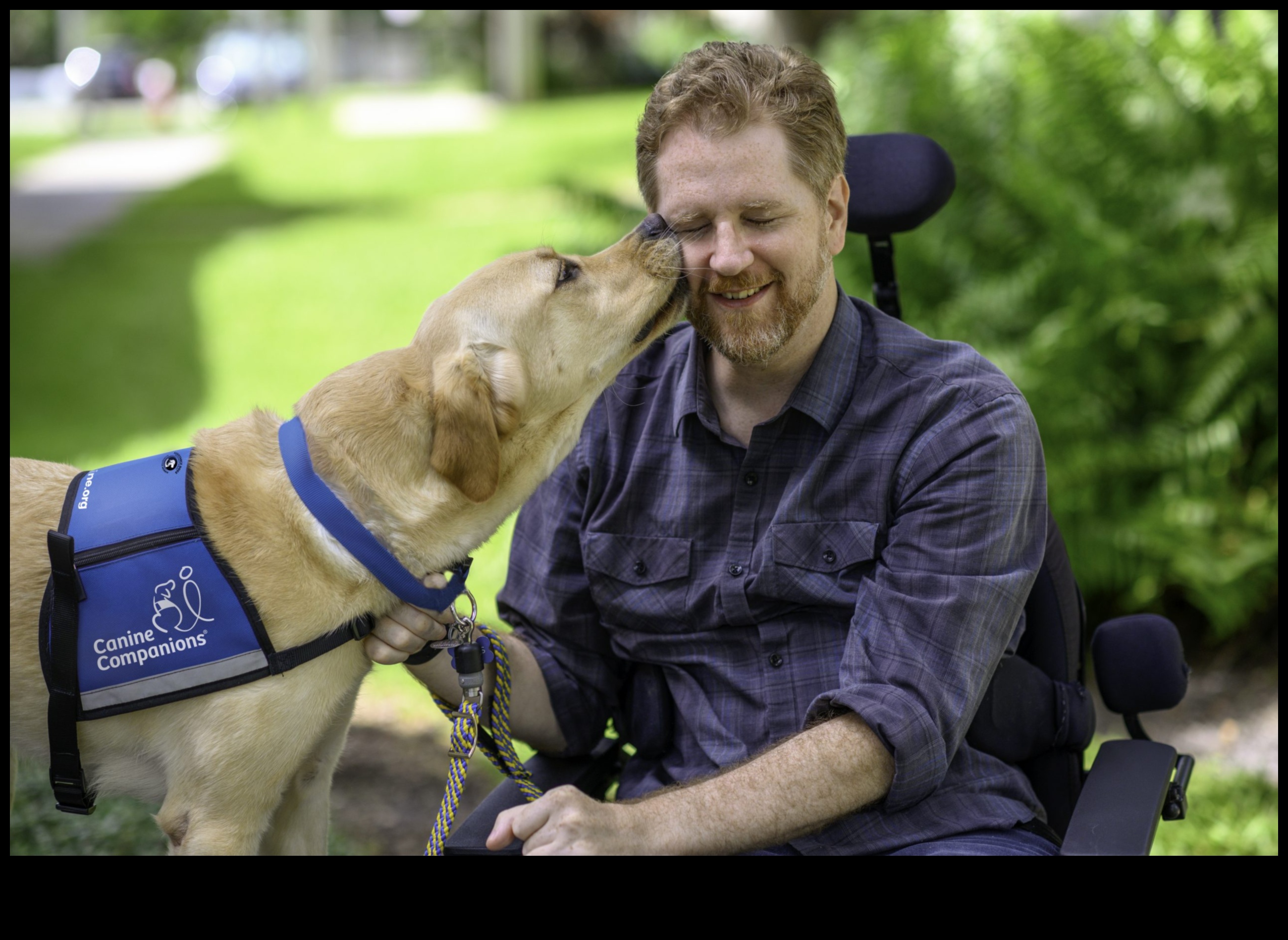 Suņu karjera: darba suņu potenciāla atraisīšana