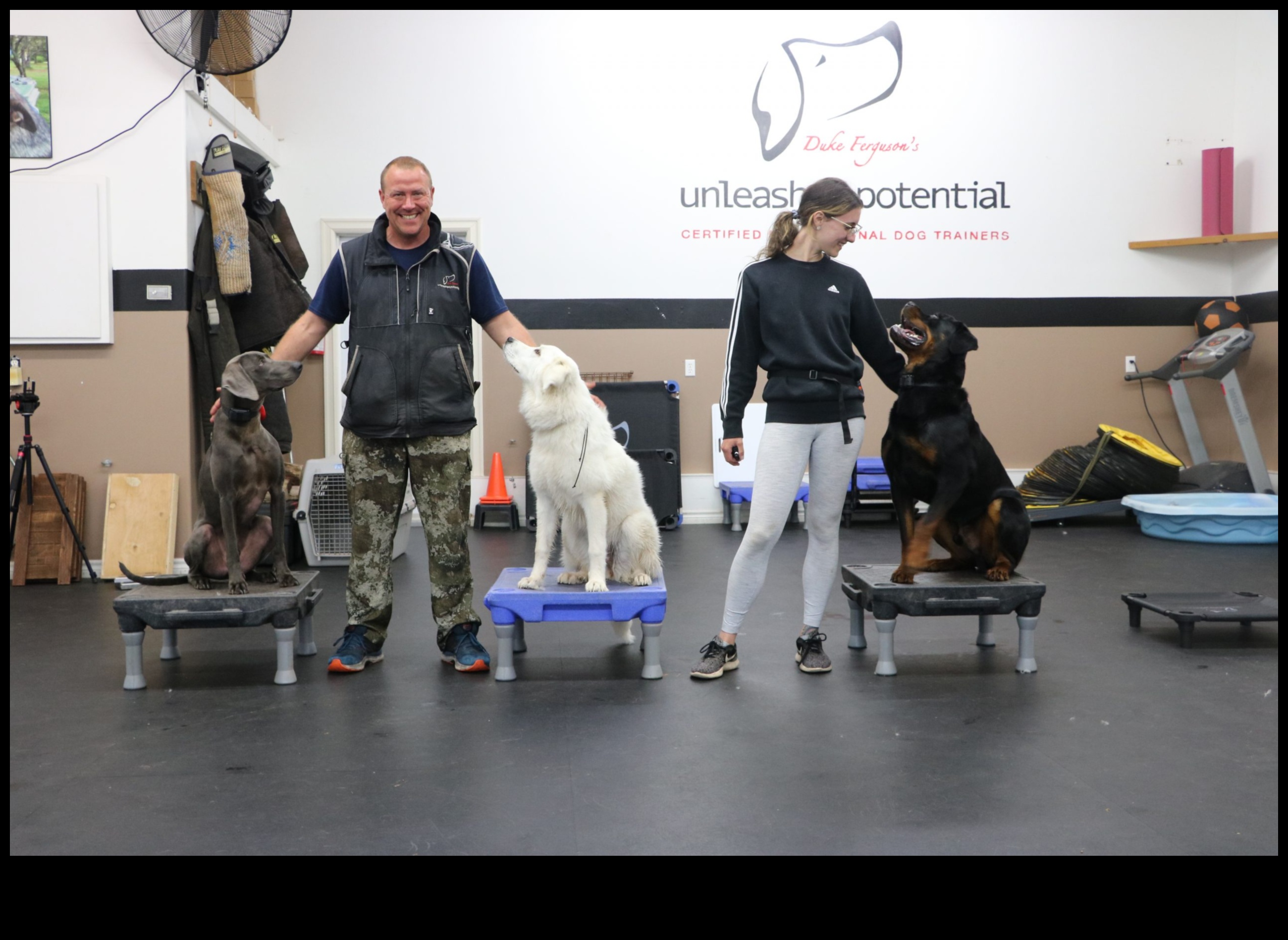 Suņu karjera: darba suņu potenciāla atraisīšana