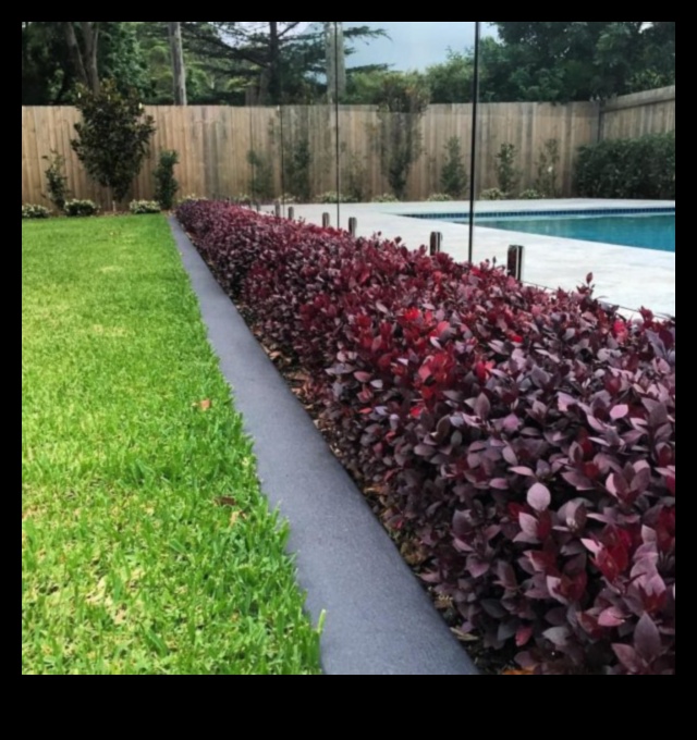 Sakņots starojums: dārza mirdzuma noslēpumu atklāšana ar kopšanu