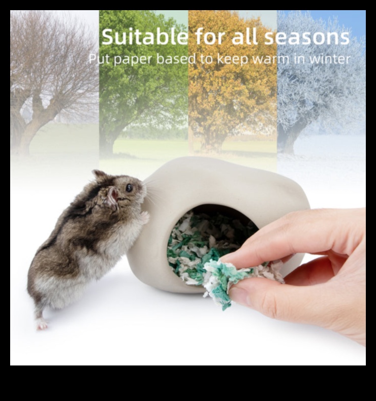 Kāmju slēptuves Labāko slēptuvju izvēle laimīgam kāmim 5 Kāmju slēptuves: labāko slēpņu izvēle laimīgam kāmim