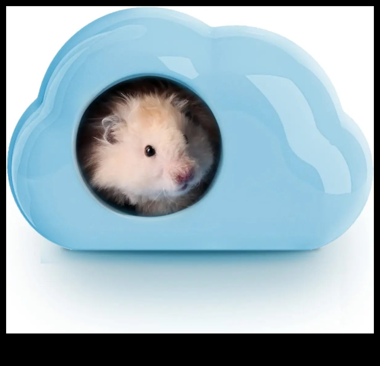 Kāmju slēptuves Labāko slēptuvju izvēle laimīgam kāmim 4 Kāmju slēptuves: labāko slēpņu izvēle laimīgam kāmim