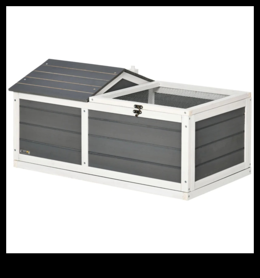 Reptile Retreat Turpinājums: DIY atpūtas vietas atpūtai