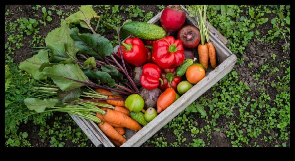 No augsnes līdz vakariņām: bioloģisko dārznieku prieks