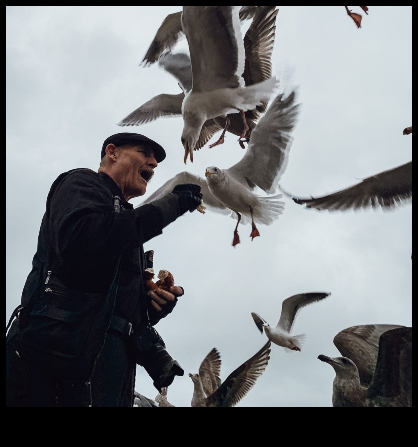 Savvaļas dabas brīnumi Iemūžiniet dabas majestāti, izmantojot dzīvnieku fotografēšanas stilus 4 Savvaļas dabas brīnumi: dabas majestātes tveršana, izmantojot dzīvnieku fotografēšanas stilus