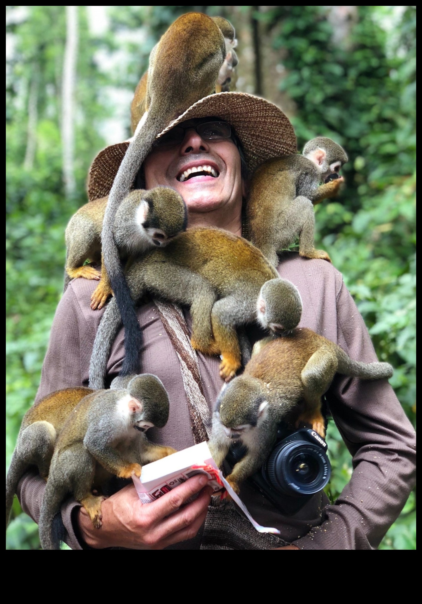 Savvaļas dabas brīnumi Iemūžiniet dabas majestāti, izmantojot dzīvnieku fotografēšanas stilus 2 Savvaļas dabas brīnumi: dabas majestātes tveršana, izmantojot dzīvnieku fotografēšanas stilus