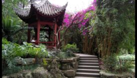 Bambusa vēsmas: japāņu dārzkopības noslēpumi