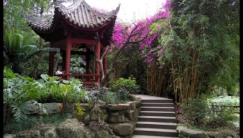 Bambusa vēsmas: japāņu dārzkopības noslēpumi