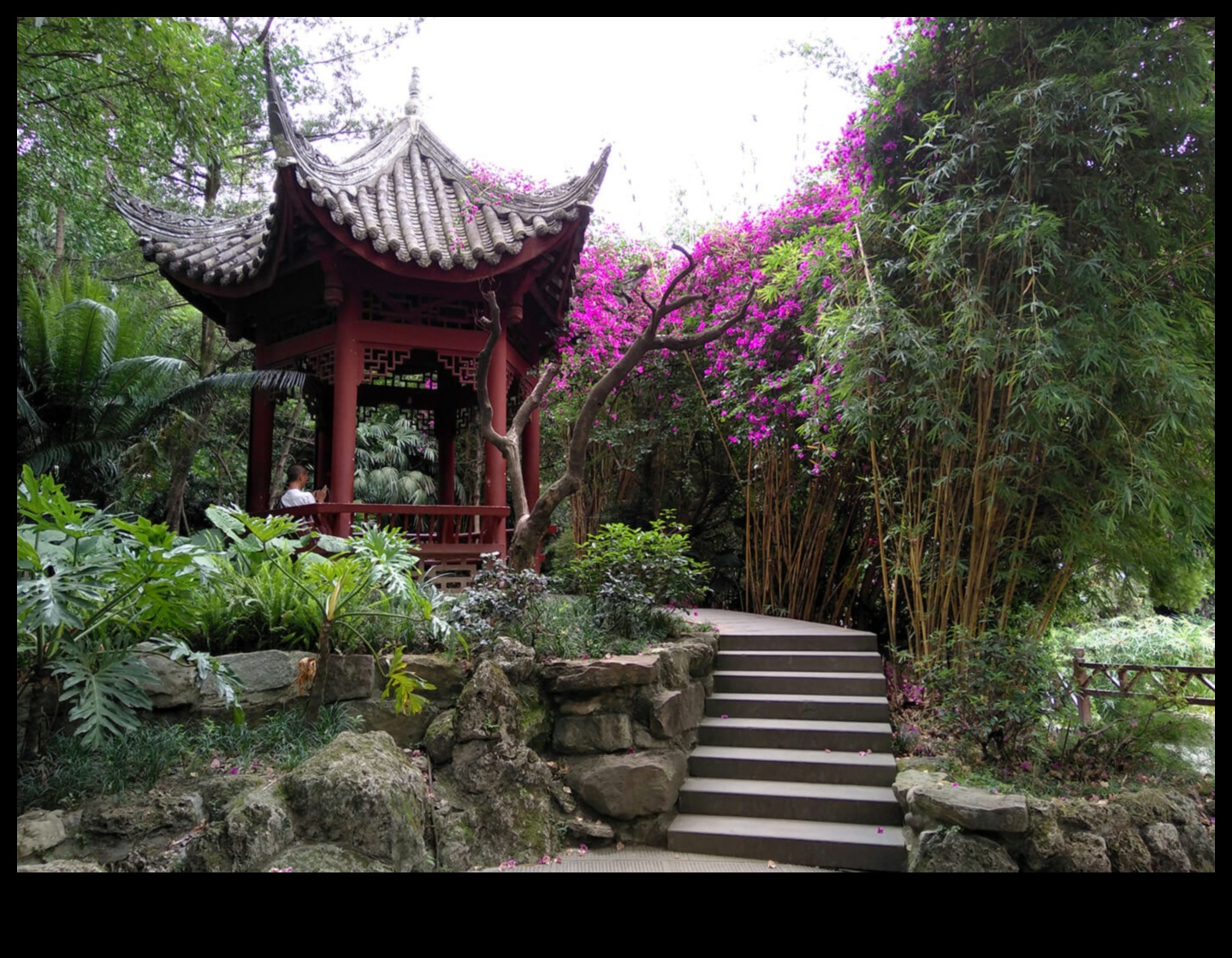 Bambusa vēsmas: japāņu dārzkopības noslēpumi