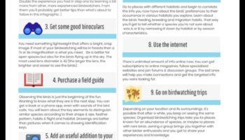 Birding iesācējiem: svarīgi padomi jaunajiem putnu vērotājiem
