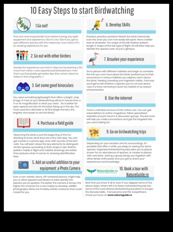 Birding iesācējiem: svarīgi padomi jaunajiem putnu vērotājiem