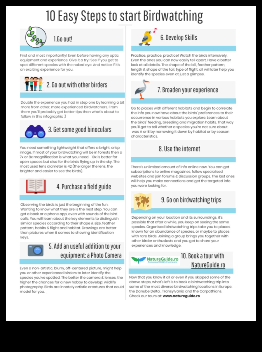 Birding iesācējiem: svarīgi padomi jaunajiem putnu vērotājiem