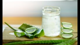 DIY Aloe Vera Adventures: unikālu un garšīgu eliksīru izgatavošana