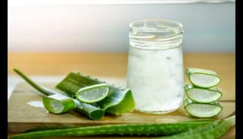 DIY Aloe Vera Adventures: unikālu un garšīgu eliksīru izgatavošana