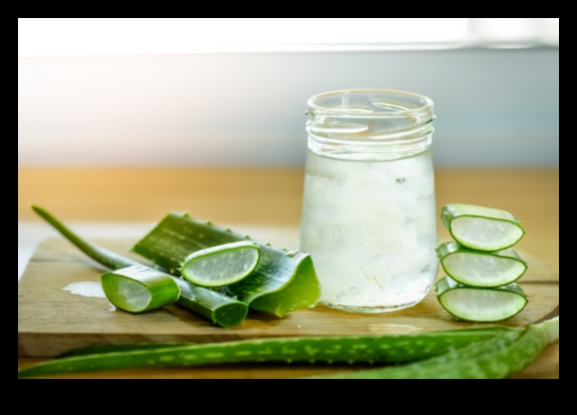 DIY Aloe Vera Adventures: unikālu un garšīgu eliksīru izgatavošana