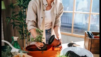 Iesaistieties ārā: svarīgi padomi iekštelpu dārzkopībai