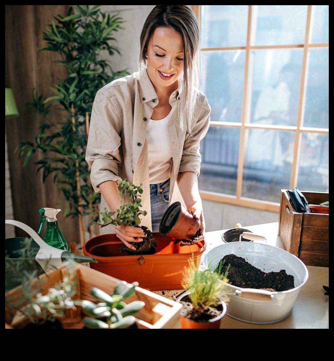 Iesaistieties ārā: svarīgi padomi iekštelpu dārzkopībai