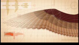 Sēžamība: kā putni apgūst līdzsvarošanas mākslu