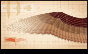 Sēžamība: kā putni apgūst līdzsvarošanas mākslu