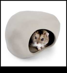 Kāmju slēptuves: labāko slēpņu izvēle laimīgam kāmim