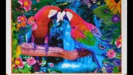 Papagaiļu mīklu paradīze: Prāta spēles gudriem un sabiedriskiem putniem