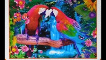 Papagaiļu mīklu paradīze: Prāta spēles gudriem un sabiedriskiem putniem