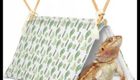Reptile Retreat notiekošais DIY atpūtas liek atpūtai 4 Reptile Retreat Turpinājums: DIY atpūtas vietas atpūtai