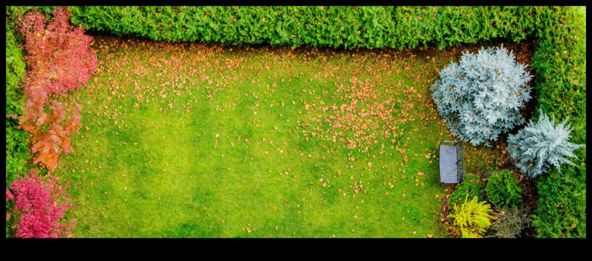 Sakņots starojums: dārza mirdzuma noslēpumu atklāšana ar kopšanu