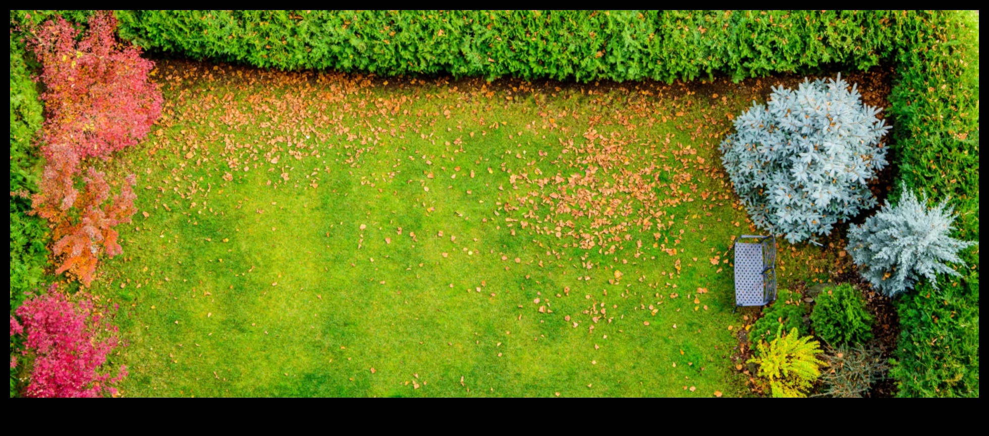 Sakņots starojums: dārza mirdzuma noslēpumu atklāšana ar kopšanu