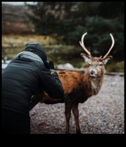 Savvaļas dabas brīnumi: dabas majestātes tveršana, izmantojot dzīvnieku fotografēšanas stilus