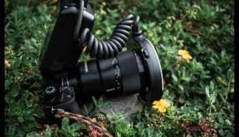 Veidota saules gaisma: formas un ēnu noteikšana ar makrofotografēšanas stiliem