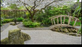 Sūnu tilti un dzena takas: japāņu dārza burvība